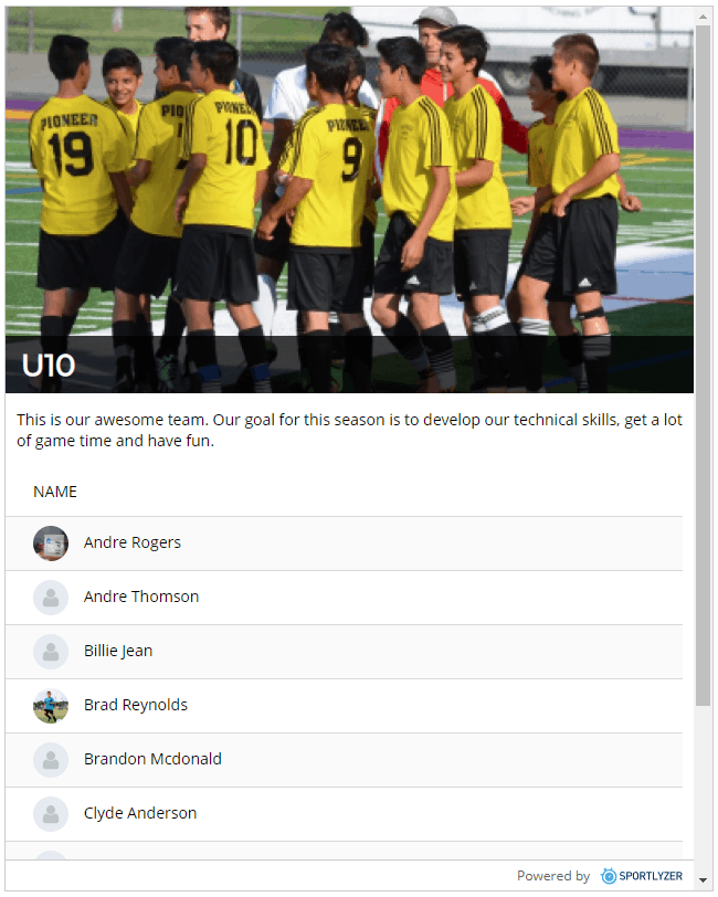 Sportlyzer team widget